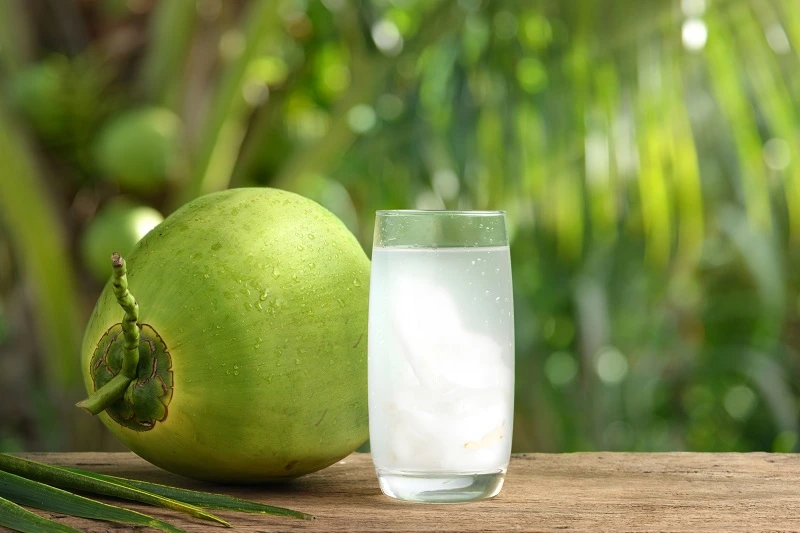 fungsi dan manfaat air kelapa muda